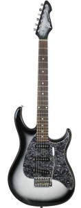 Peavey Raptor Custom Silverburst