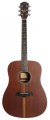 koa.webp