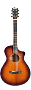 Gitara Elektroakustyczna - Breedlove Performer Concertina Bourbon CE Torrefied European African Mahogany