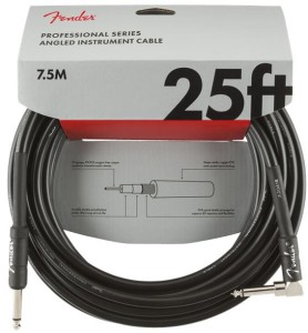 Fender FG25L 25" Professional