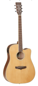 Tanglewood TW10 Superfolk Winterleaf
