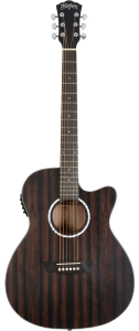 Washburn DF EACE