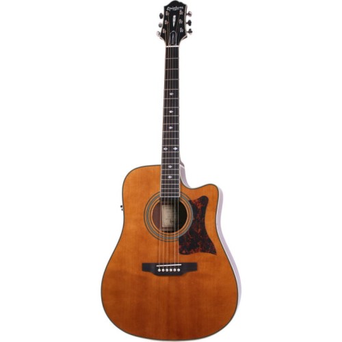 epiphone-masterbilt-dr-500mce-na.jpg