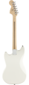 0371220505_gtr_back_001_rl.png