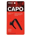 d-addario-pw-cp-04-kapodaster.jpg