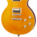 __static.gibson.com_product-images_USA_USAC69345_Appetite_Burst_hardware-500_500.png