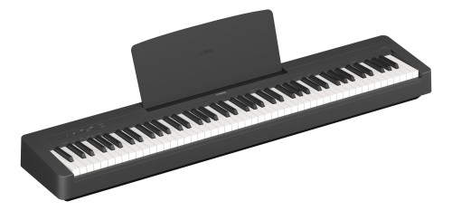 P-145_a_0002.jpg