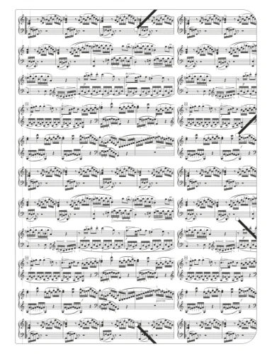elastic-folder-notelines-white-urtext-b4 (1).jpg