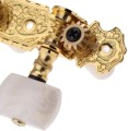 AO-020B1P1.webp