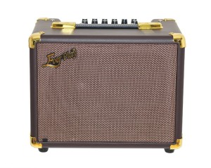 Ever Play A60 Acoustic Wzmacniacz do gitary akustycznej