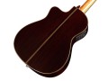 05416_Product Photo_Fusion 12 Rose II_Back Angle.jpg