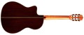 05416_Product Photo_Fusion 12 Rose II_Back.jpg