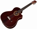 05416_Product Photo_Fusion 12 Rose II_Front Angle.jpg