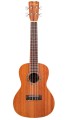 GUCLCOR-03919_Product Photo_15CM_Front.jpg