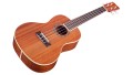 GUCLCOR-03919_Product Photo_15CM_Front Angle.jpg