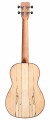 03985_Product Photo_24B Spruce_Back.jpg