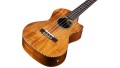 04043_Product Photo_25T-CE_Front Angle.jpg