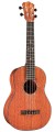 GUCLCOR-04105_Product Photo_30T_Side.jpg