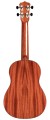 GUCLCOR-04105_Product Photo_30T_Back.jpg