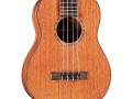 GUCLCOR-04105_Product Photo_30T_Front Closeup.jpg