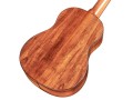 GUCLCOR-04125_Product Photo_35T_Back Angle.jpg