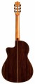 05415_Product Photo_Orchestra CE Teardrop Burst_Back.jpg