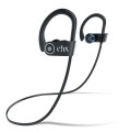 sport-1a.webp