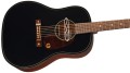 2024-03-13 12_40_19-Fender Dealer.jpg