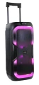 PRIME3_APS91_2-478x1030.webp