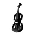 carlo-giordano-ev-202-blk.webp