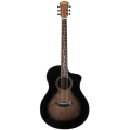 washburn-bts-9-vce-ch.webp