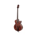 takamine-tb10.webp