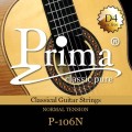 p106n.webp