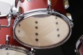 ST50H5 CDS-2.webp