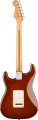 p21.webp