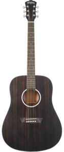 Washburn DF ED Gitara Akustyczna