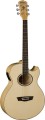 ea20n.webp