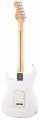 fender-player-stratocaster-hss-pf-pwt (1).jpg