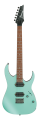 p_region_RG421S_SEM_1P_01.png