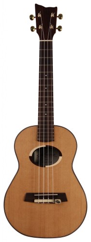 coco-close-up.webp