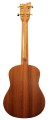 mari-tenor-back1.webp