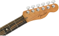ebbk2.webp