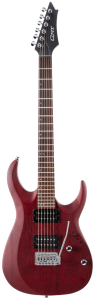 Cort X 100 OPBC