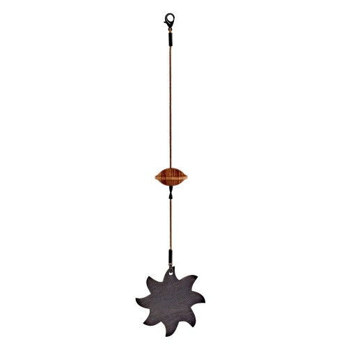 phstella.webp