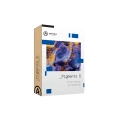 pigments6.webp