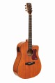 AN450CEQG.WEBP