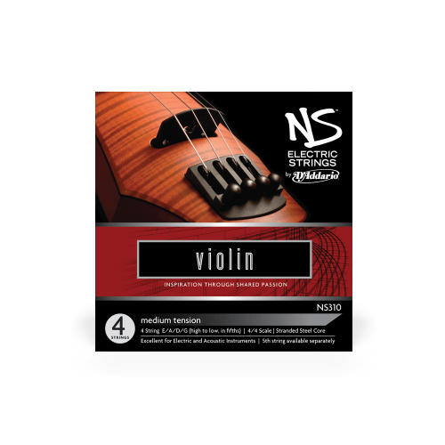 ns310.webp