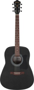 Ibanez V54NJP WK