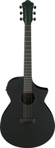 Ibanez AEWC621 BOT