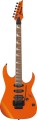 rg460dxrom.webp
